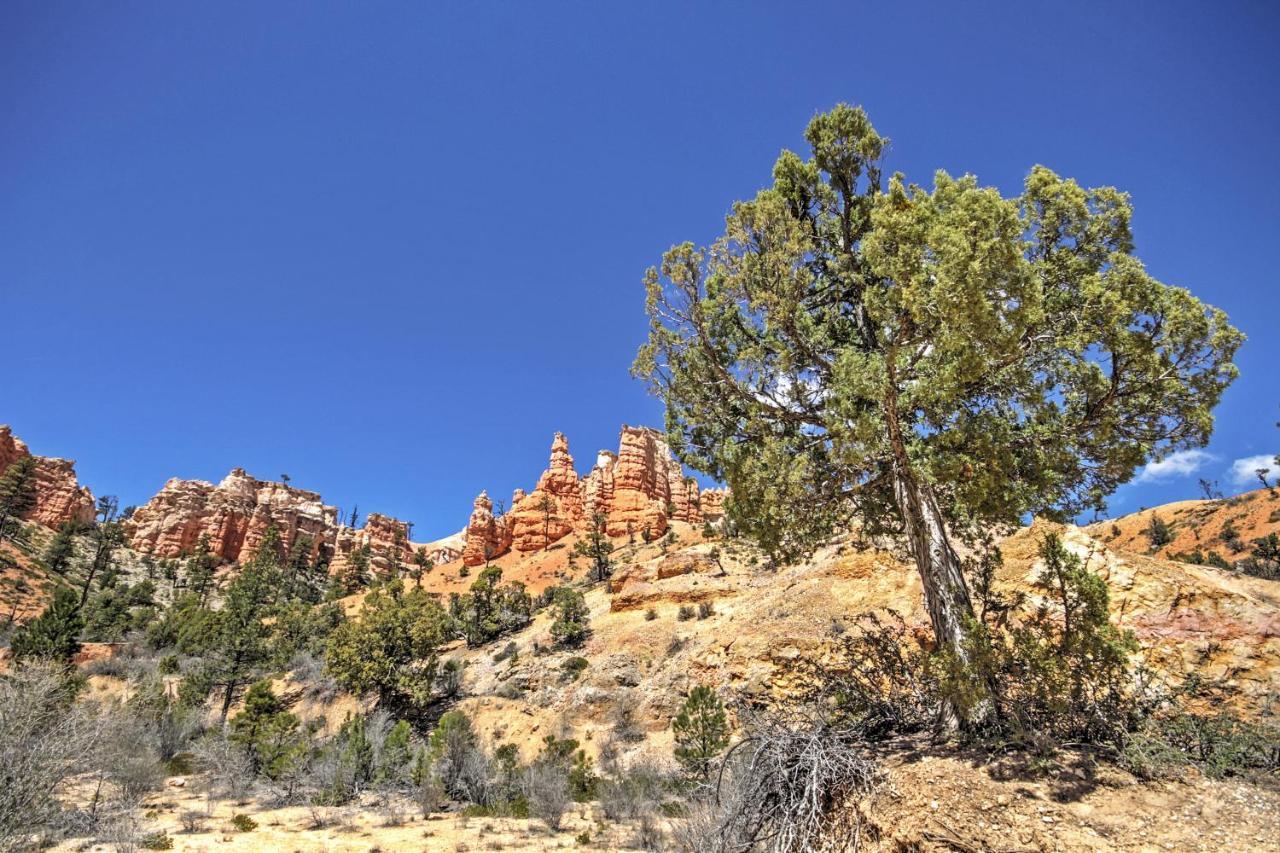 Bryce Canyon Area House With Mountain Views! 特洛匹克 外观 照片